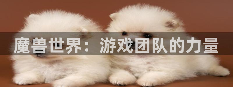 三牛娱乐登录：魔兽世界：游戏团队的力量