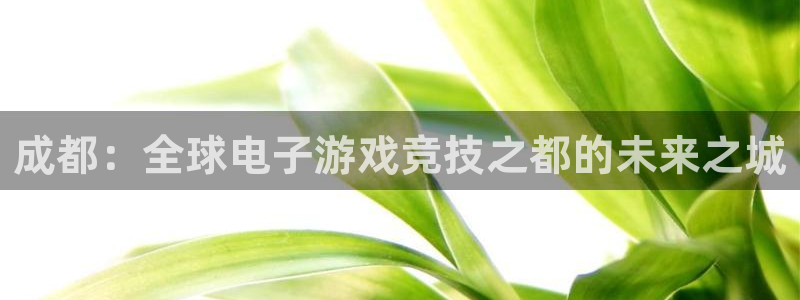 三牛公司：成都：全球电子游戏竞技之都的未来之城