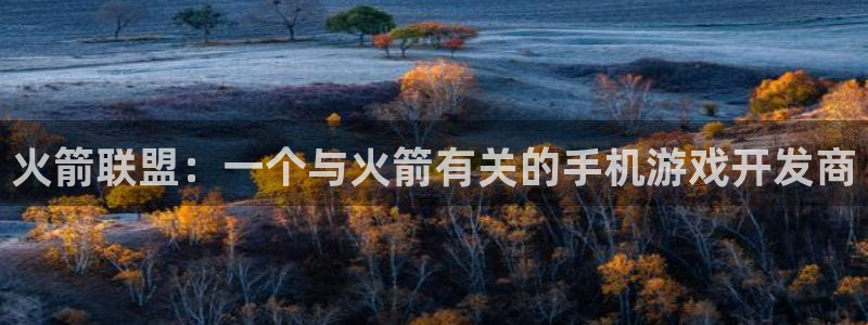 三牛娱乐负责人：火箭联盟：一个与火箭有关的手机游戏开发商