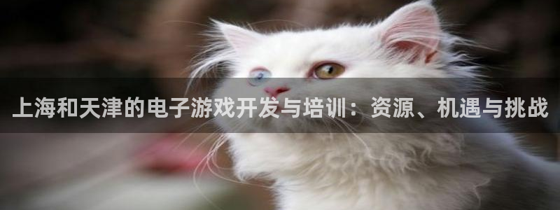 三牛平台娱乐：上海和天津的电子游戏开发与培训：资源、机遇与挑