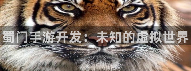 三牛公司：蜀门手游开发：未知的虚拟世界