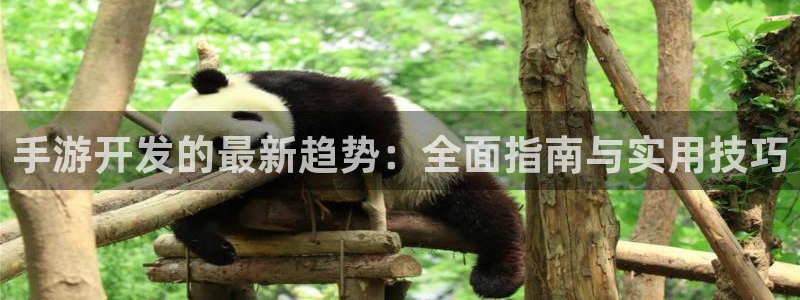 三牛娱乐管网:手游开发的最新趋势:全面指南与实用技巧