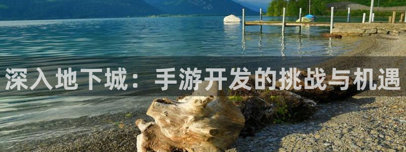 三牛娱乐是网络诈骗平台吗安全吗：深入地下城：手游开发的挑战与