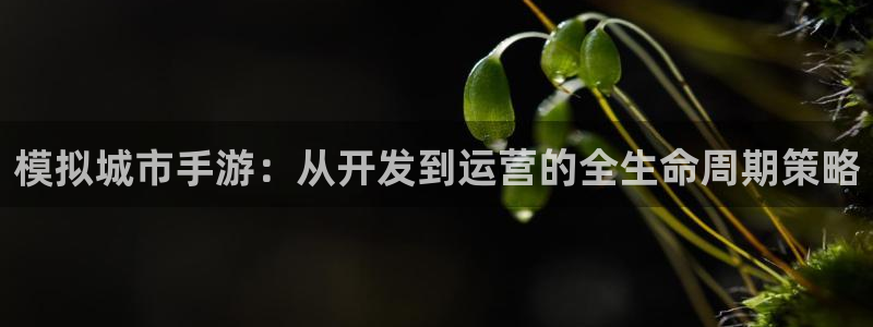 三牛娱乐是网络诈骗平台吗安全吗：模拟城市手游：从开发到运营的