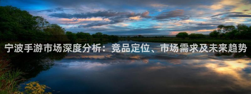 三牛娱乐负责人是谁:宁波手游市场深度分析:竞品定位、市场需求