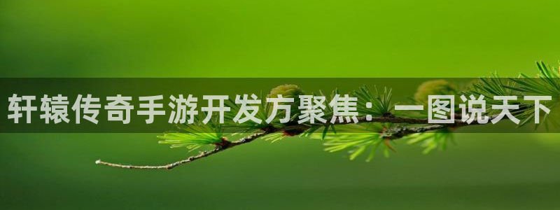 三牛娱乐测速系统官网：轩辕传奇手游开发方聚焦：一图说天下