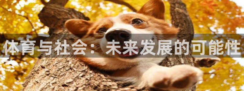 oety欧亿