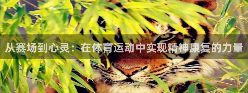 oety欧亿