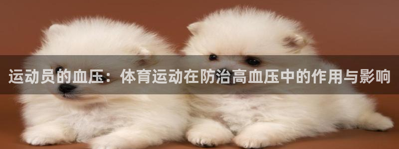 oety欧亿