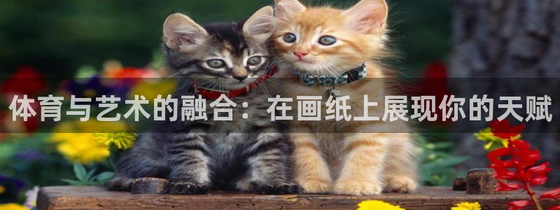 oety欧亿