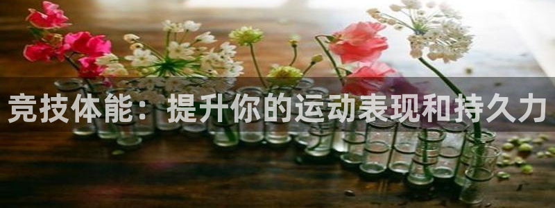 oety欧亿