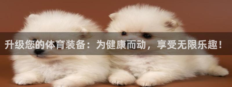 oety欧亿