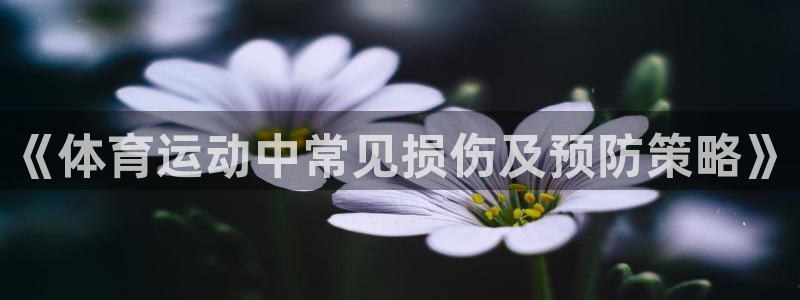oety欧亿