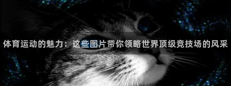 oety欧亿
