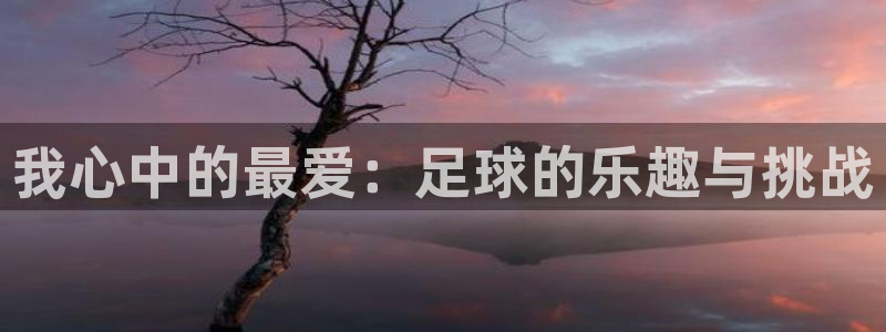 oety欧亿
