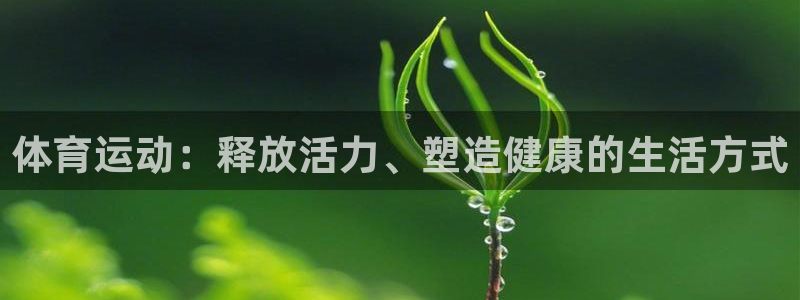 oety欧亿
